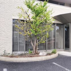 大垣花壇　玄関植栽　花壇管理